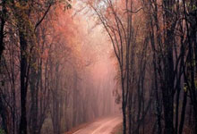 吉他新手必看！2025 年最火的 10 首入门曲目推荐！